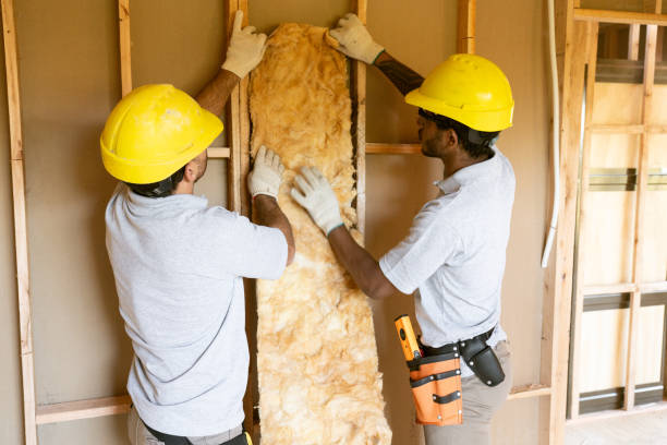 Best Insulation Contractors for Homes  in Leona Valley, CA